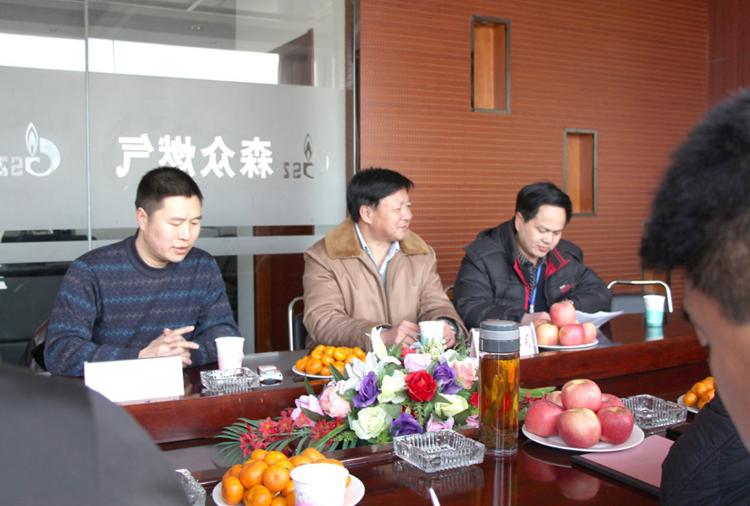 林口县政府与长沙维安商务信息咨询有限公司燃气项目洽谈.png